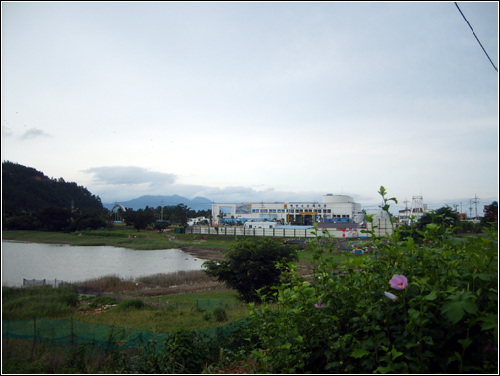 전남도가 지난 1998년 개관한 해양수산과학관은 무슬목 중앙에 건립되어 아름다운 경치를 막아 숨이 막힌다는 비난이 일었었습니다. 